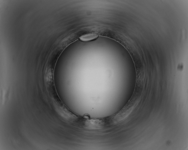 X0000100470137200806201615