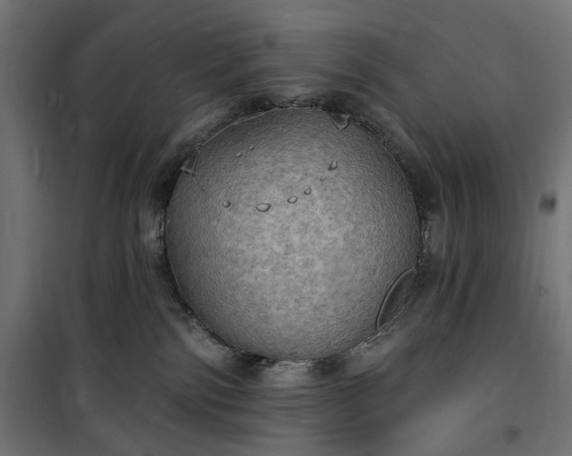 X0000100470138200806201615