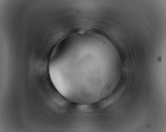 X0000100470139200806201615