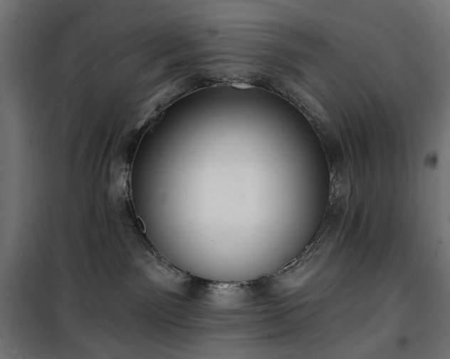 X0000100470141200806201615