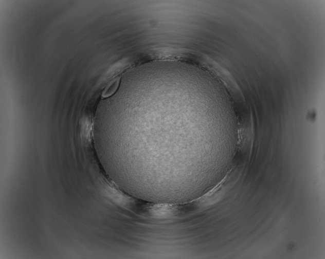 X0000100470142200806201615