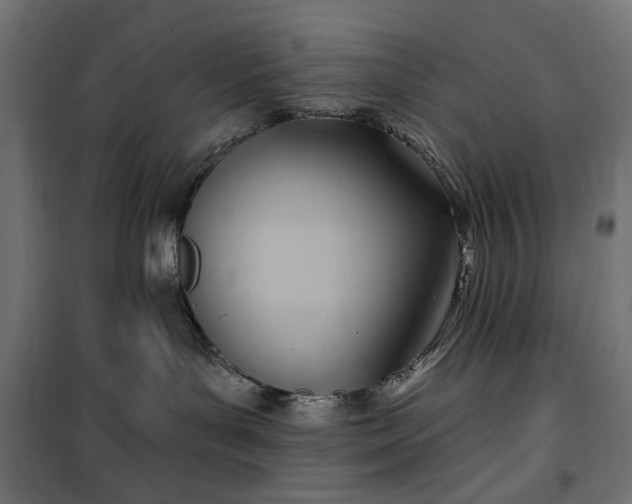 X0000100470143200806201615