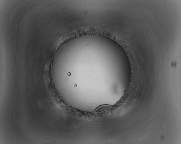 X0000100470144200806201615