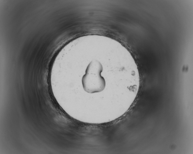 X0000100470146200806201614