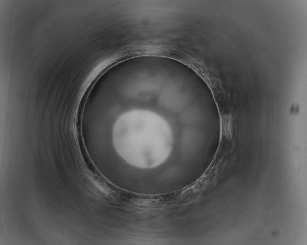 X0000100470147200806201614