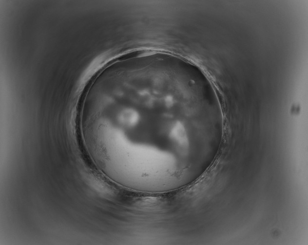 X0000100470151200806201614