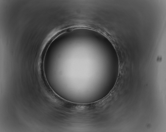 X0000100470152200806201614