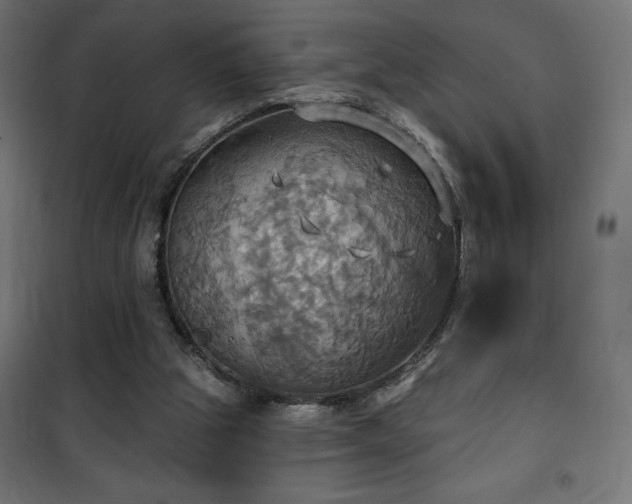 X0000100470153200806201614