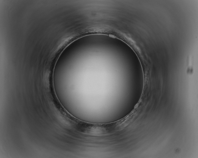 X0000100470154200806201614