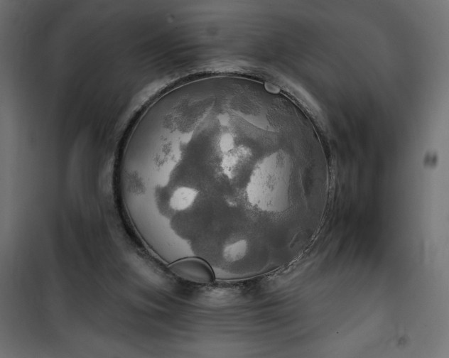 X0000100470155200806201614