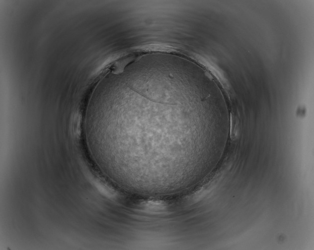 X0000100470157200806201614