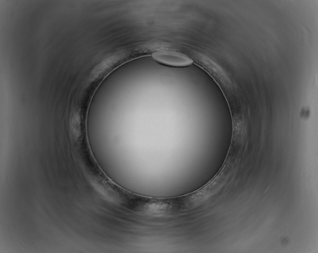 X0000100470158200806201614