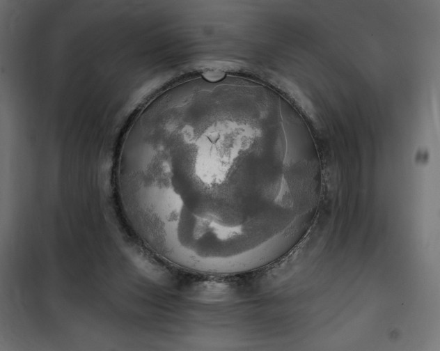 X0000100470159200806201614