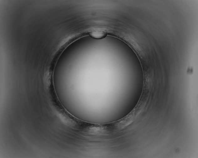 X0000100470160200806201614