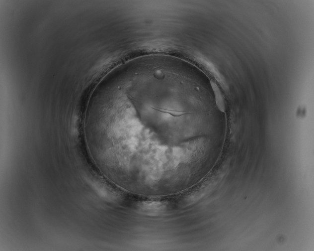 X0000100470161200806201614