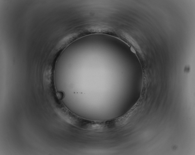 X0000100470163200806201614