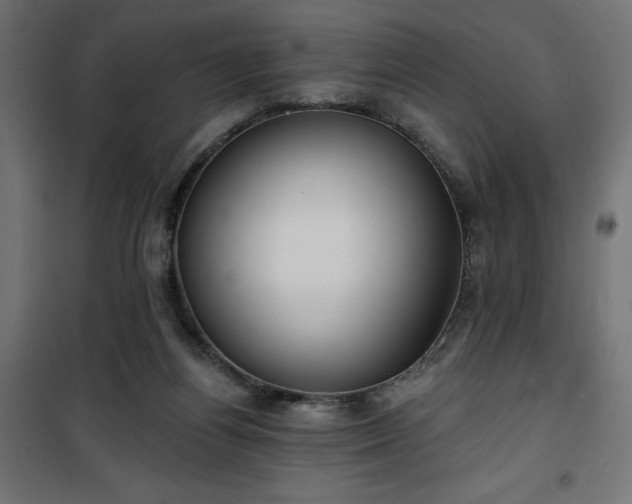 X0000100470164200806201614