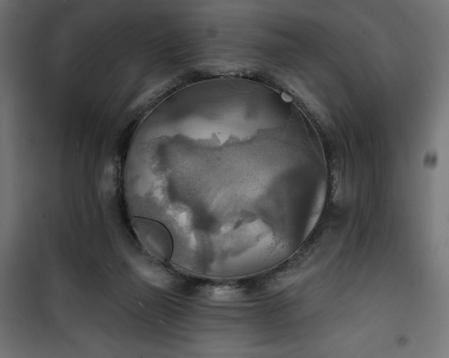 X0000100470165200806201614