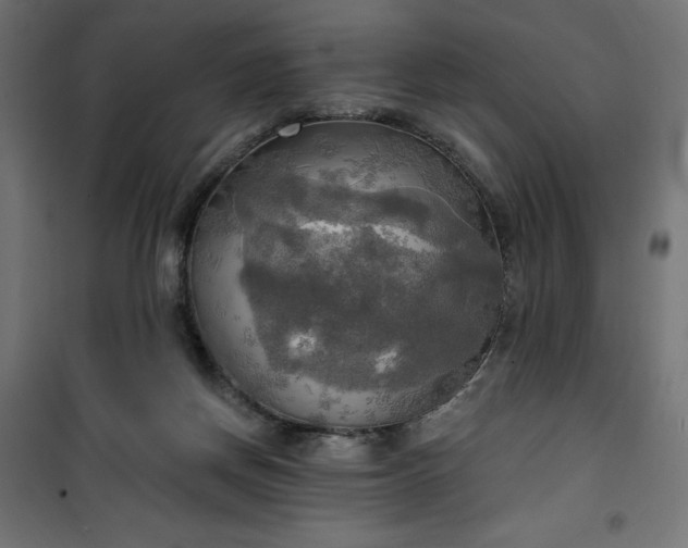 X0000100470166200806201614