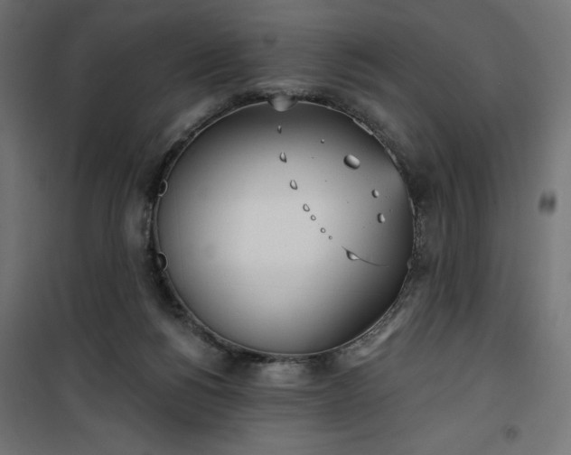 X0000100470168200806201614