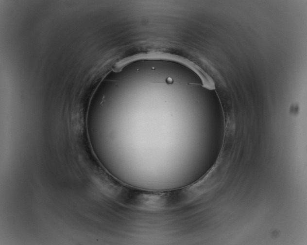 X0000100470170200806201614