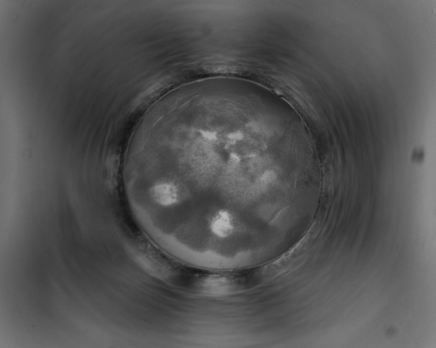 X0000100470171200806201614