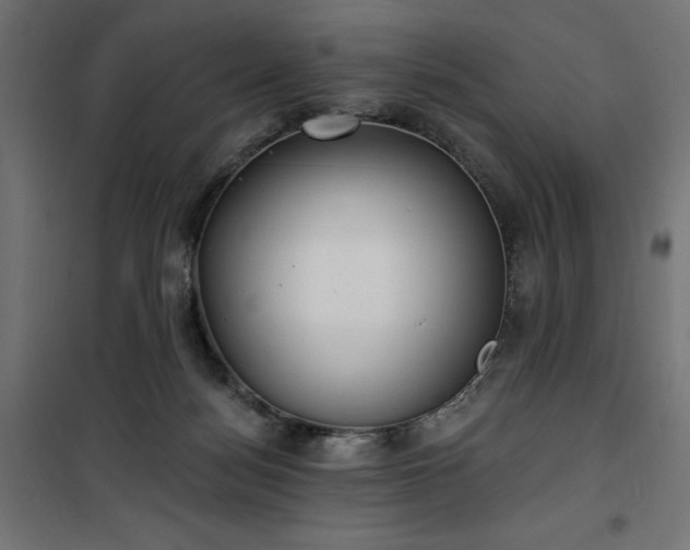 X0000100470172200806201614