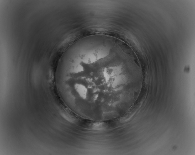 X0000100470173200806201614