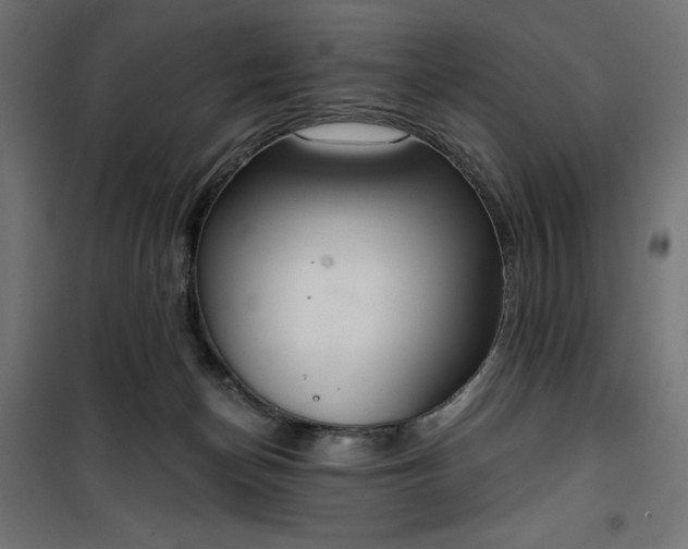 X0000100470174200806201614