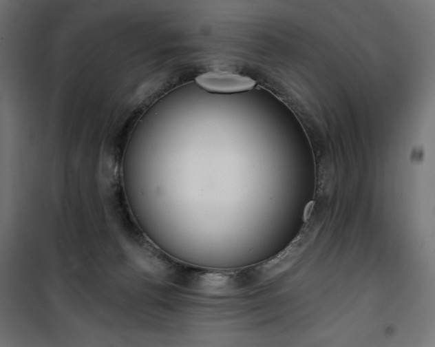 X0000100470176200806201614