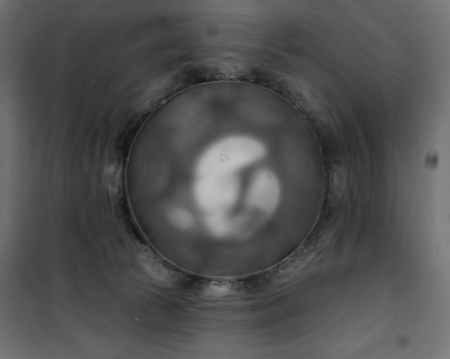 X0000100470177200806201614