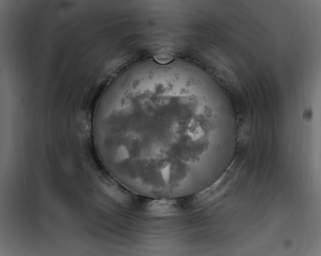 X0000100470179200806201614