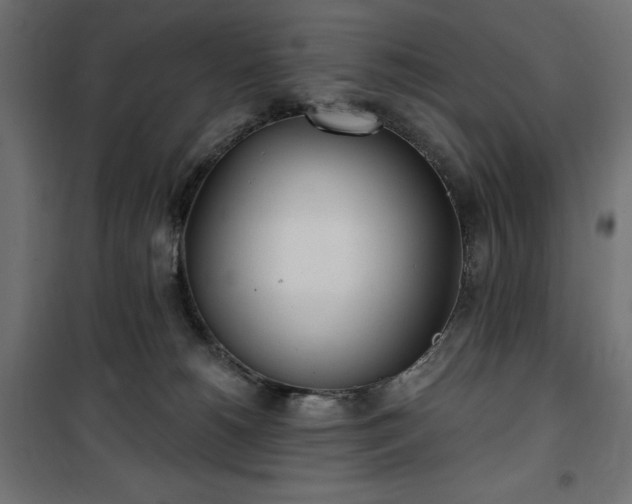 X0000100470180200806201614