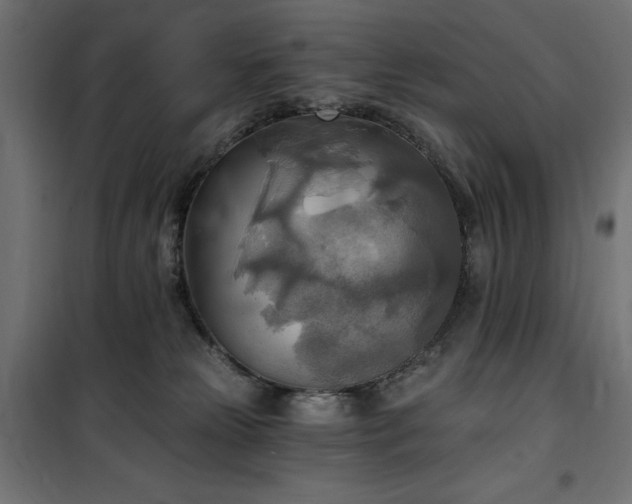 X0000100470181200806201615