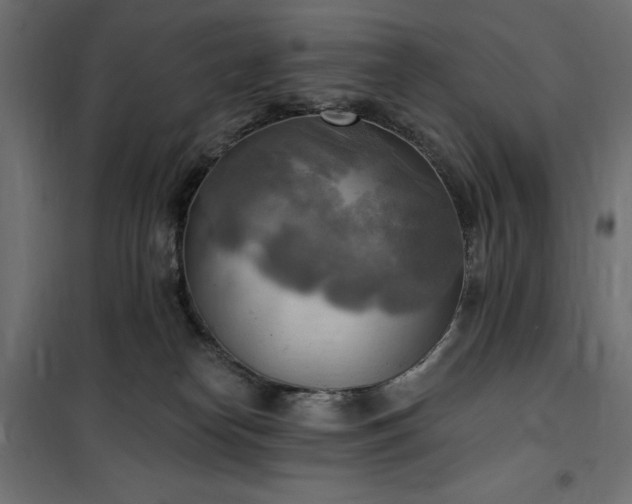 X0000100470182200806201615