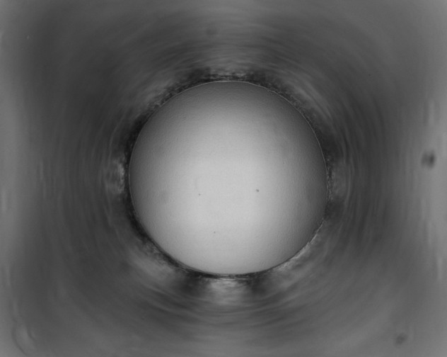 X0000100470183200806201615