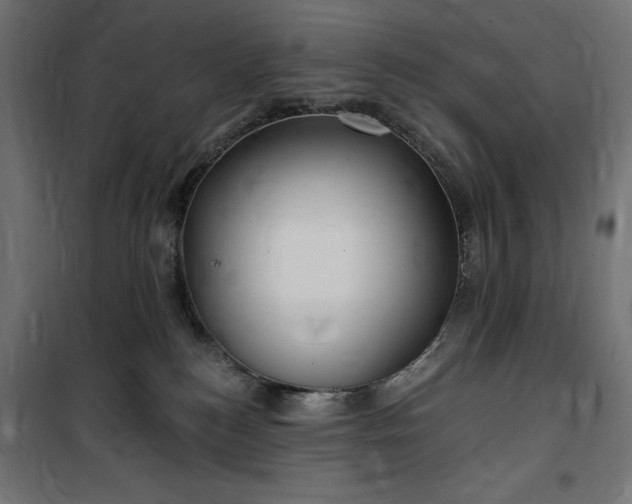 X0000100470184200806201615