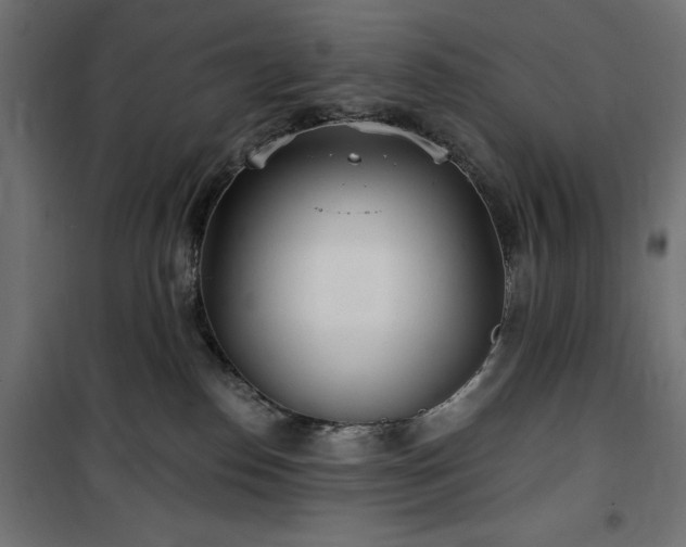 X0000100470186200806201615