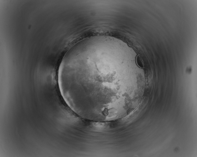 X0000100470187200806201615