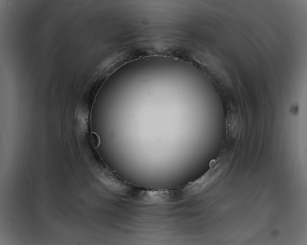 X0000100470188200806201615