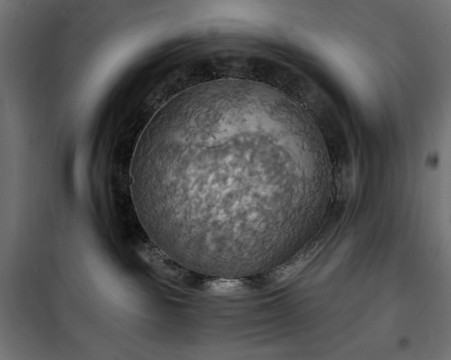 X0000100470189200806201615