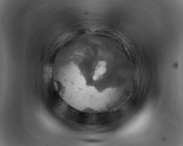 X0000100470191200806201615