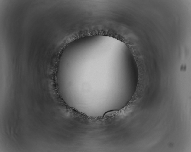 X0000100470192200806201615