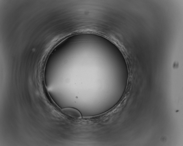 X0000100470193200806201614