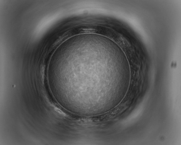 X0000100470194200806201614