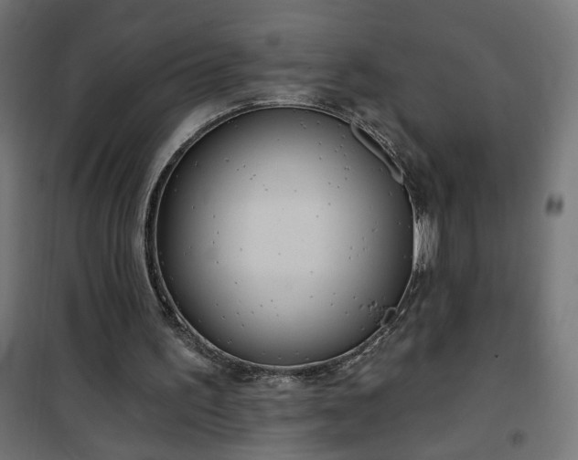 X0000100470195200806201614