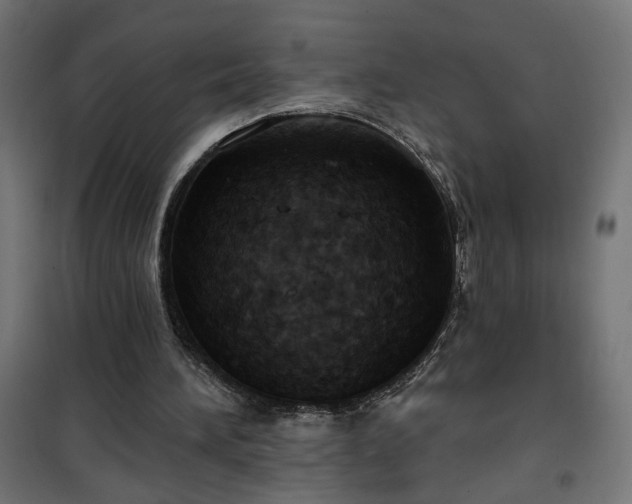 X0000100470196200806201614