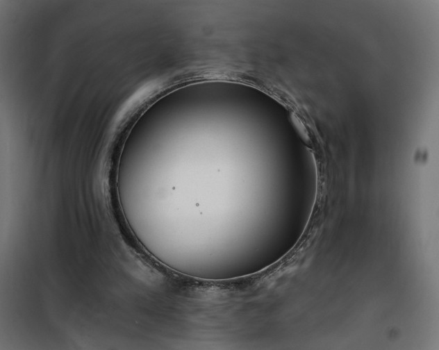 X0000100470197200806201614