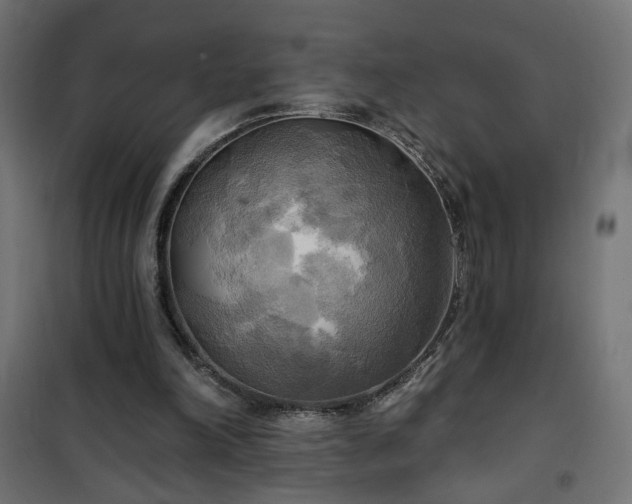 X0000100470198200806201614