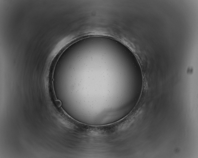 X0000100470199200806201614